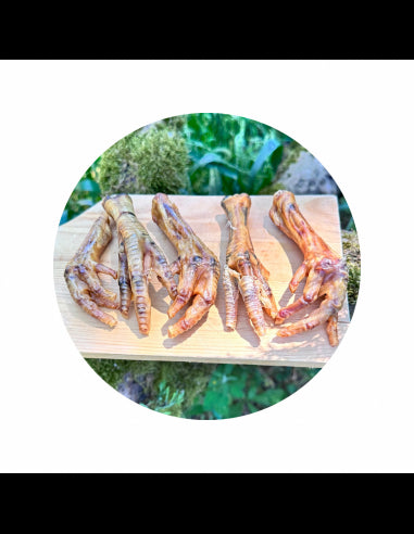 Pattes de poulet pour chien