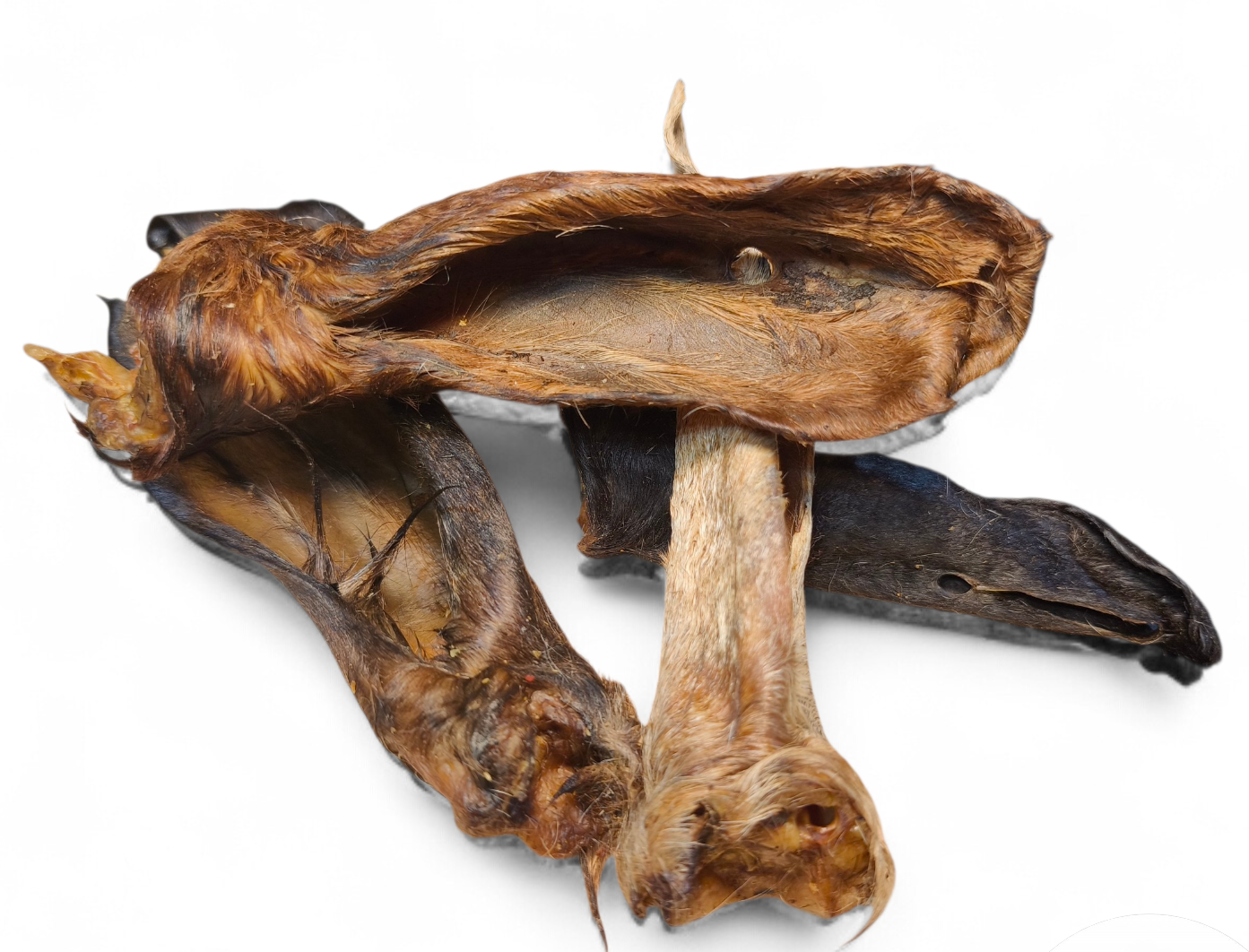 OREILLES DE CHÈVRES